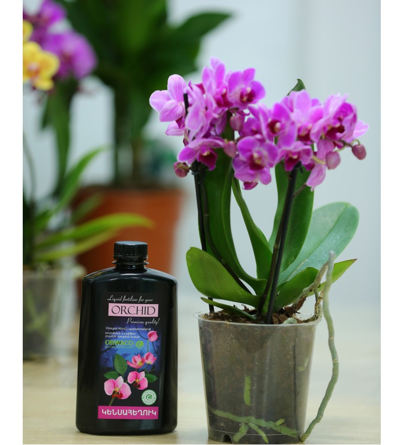 Bio Liquid for orchids and epiphyte plants