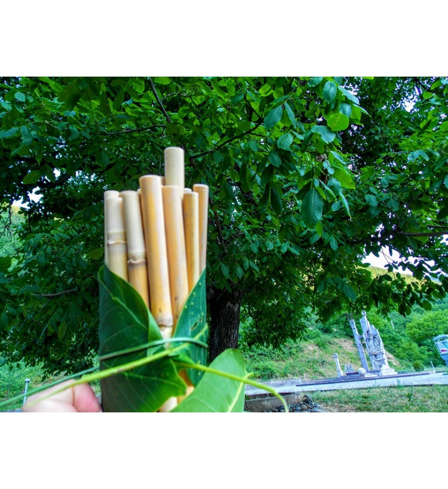Reed eco-straws
