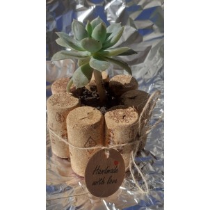 Flower in a flower pot covered with wine corks