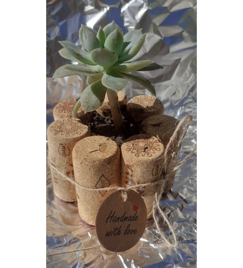Flower in a flower pot covered with wine corks